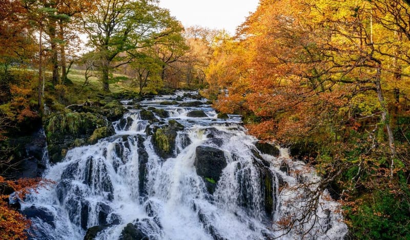 Swallow Falls