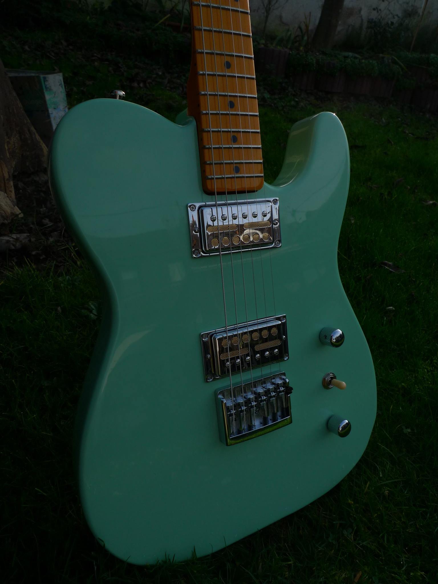 Flunder Gold-Foil-Tele Surf Green