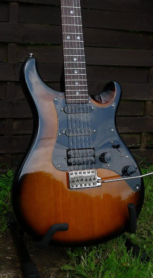 PRS SE EG TSB (sold)