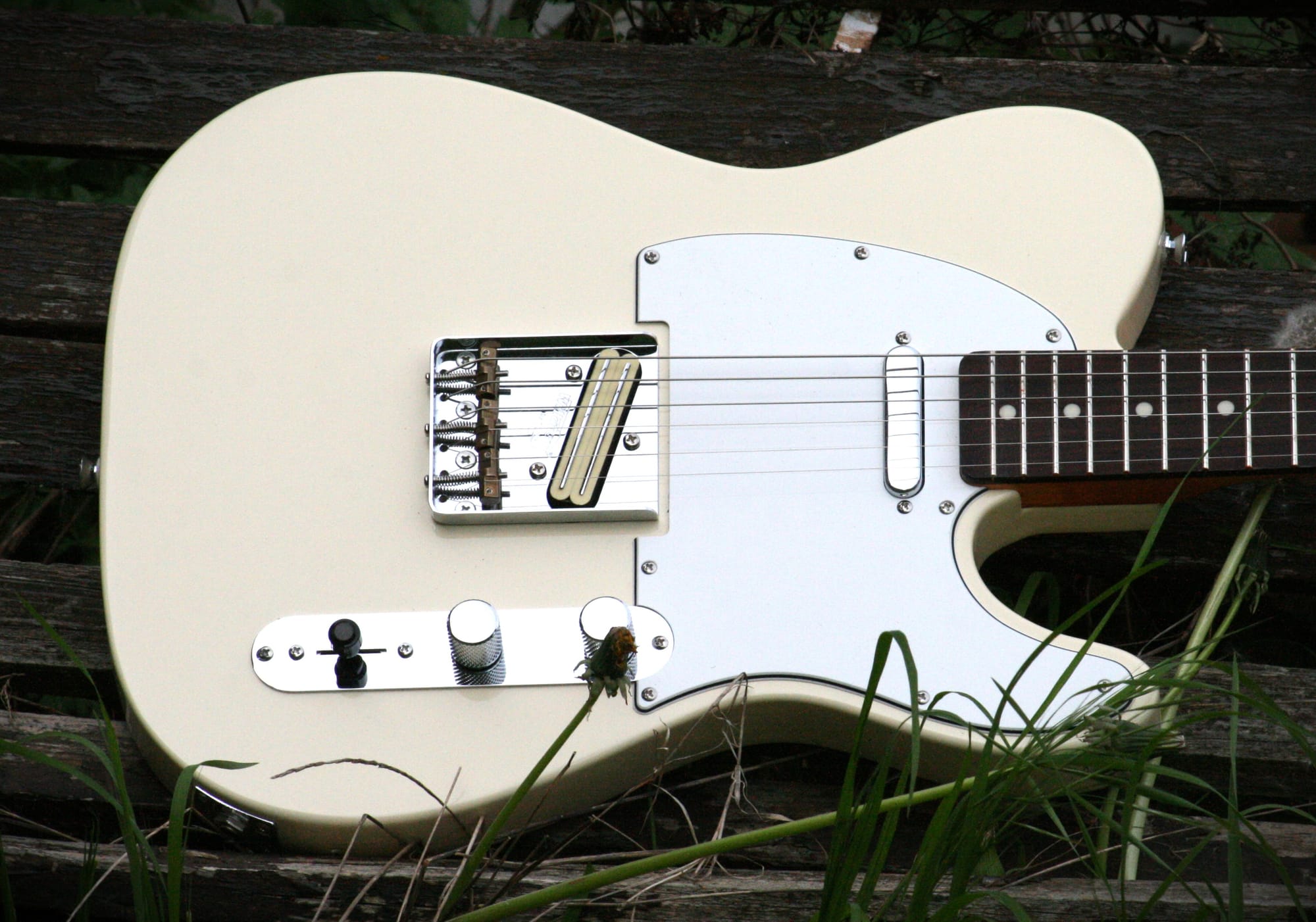 Flunder "White Swan" Tele