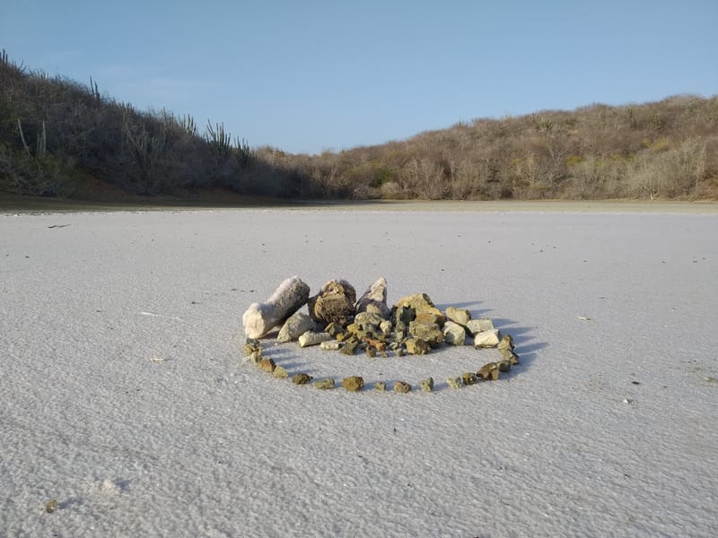 Landart tour Jan Thiel Zoutpannen