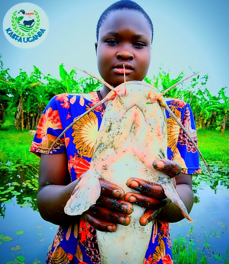Birungi Irene