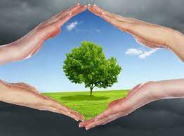 Reduce pollution