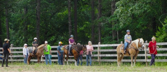 Horses @ New Hope