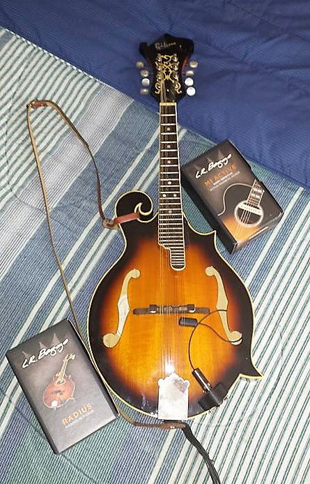 Mandolin F-Style w/ Baggs P/Up.