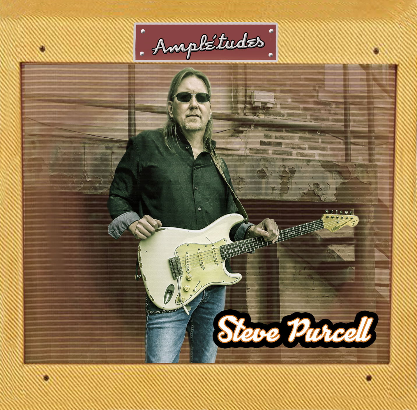 Steve Purcell Solo CD "Ample'tudes"