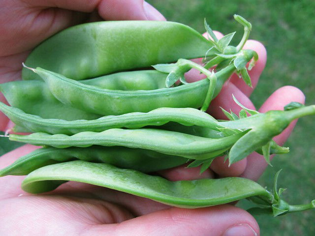 Sister Judes' Amazing Asian style Snow Peas and Pasta