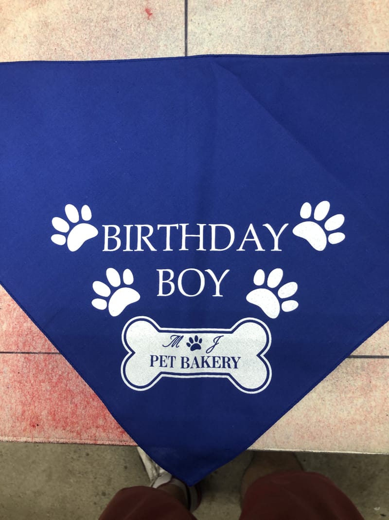 Bags and Other Promo