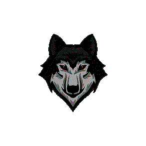 DARK WOLF TEAM