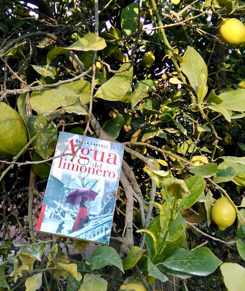 "Agua del limonero", Mamen Sánchez.