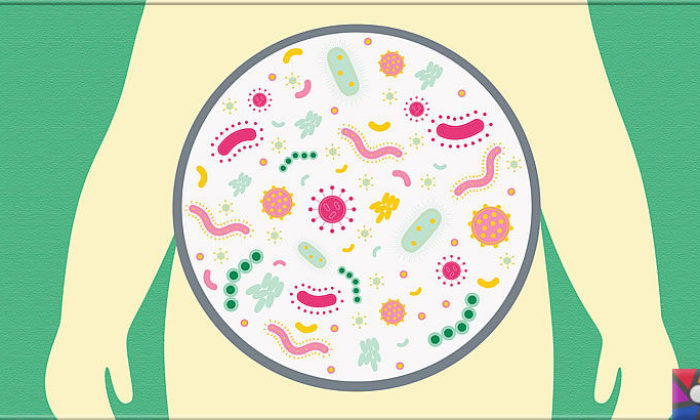 Paraziter Hastalıklar...