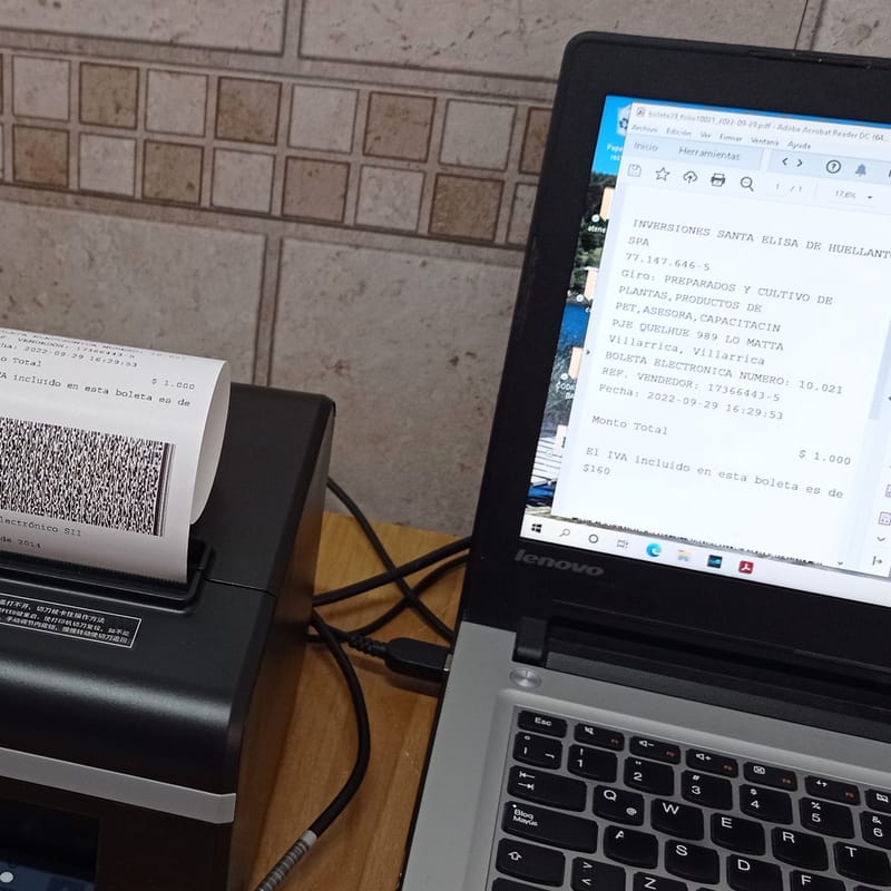 Proyectos y colaboraciones