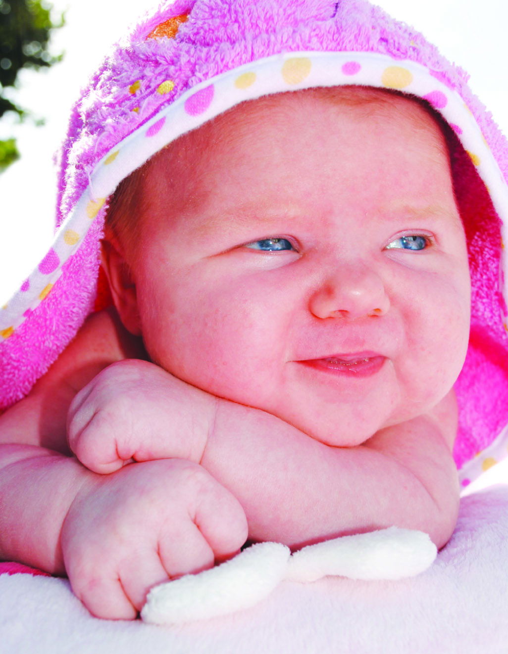 Traditional Portraits