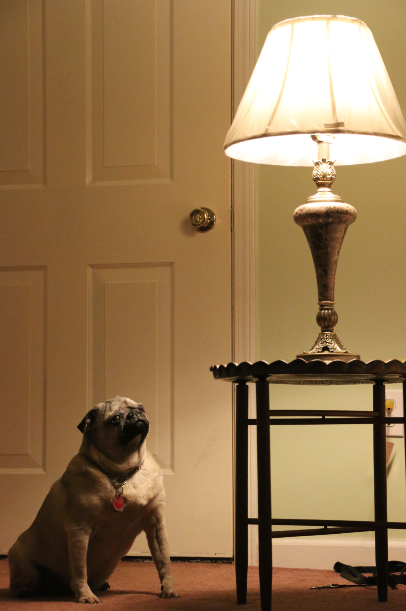 Traditional Portraits