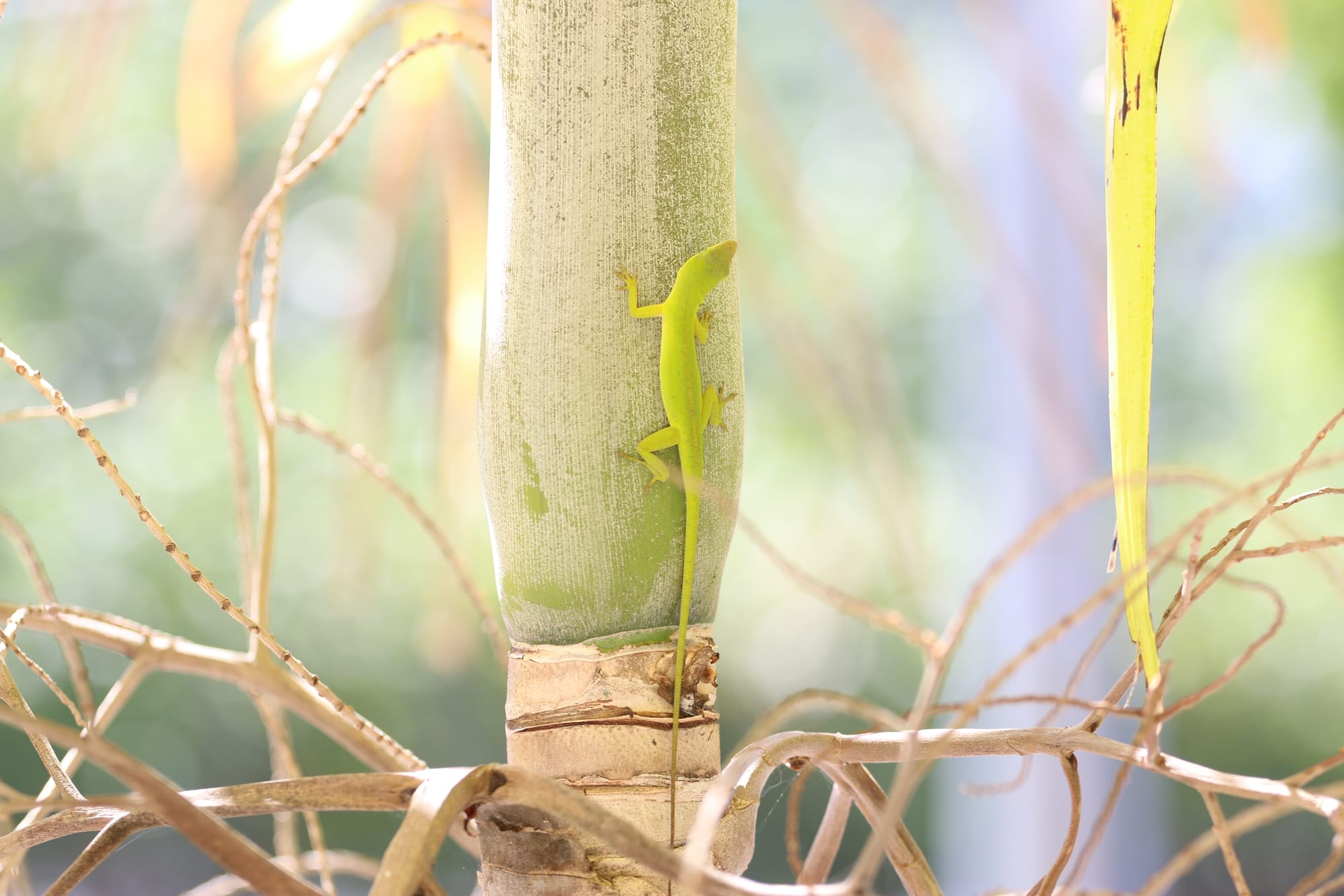 Landscapes and Nature