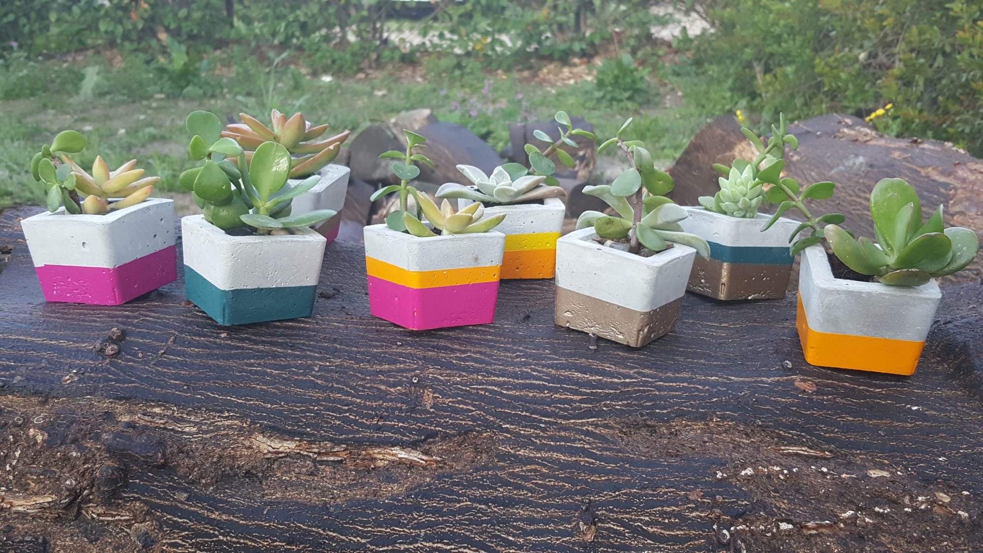 בֶּטוֹנִיקָה - יציקות בטון 