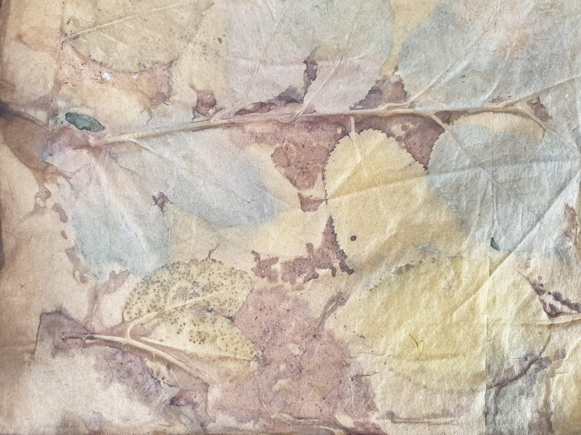 הדפסי עלים - ecoprint