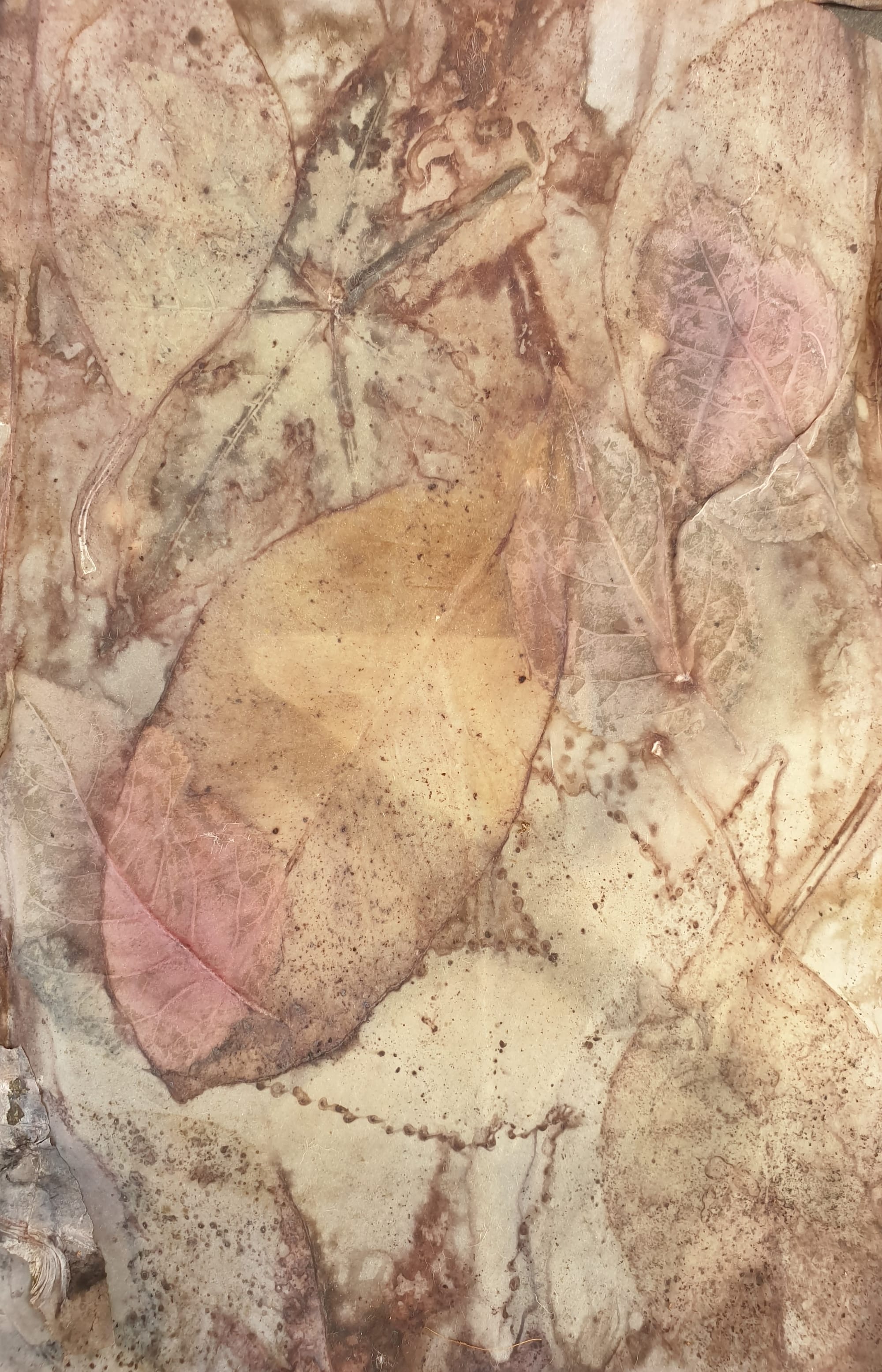 הדפסי עלים - ecoprint