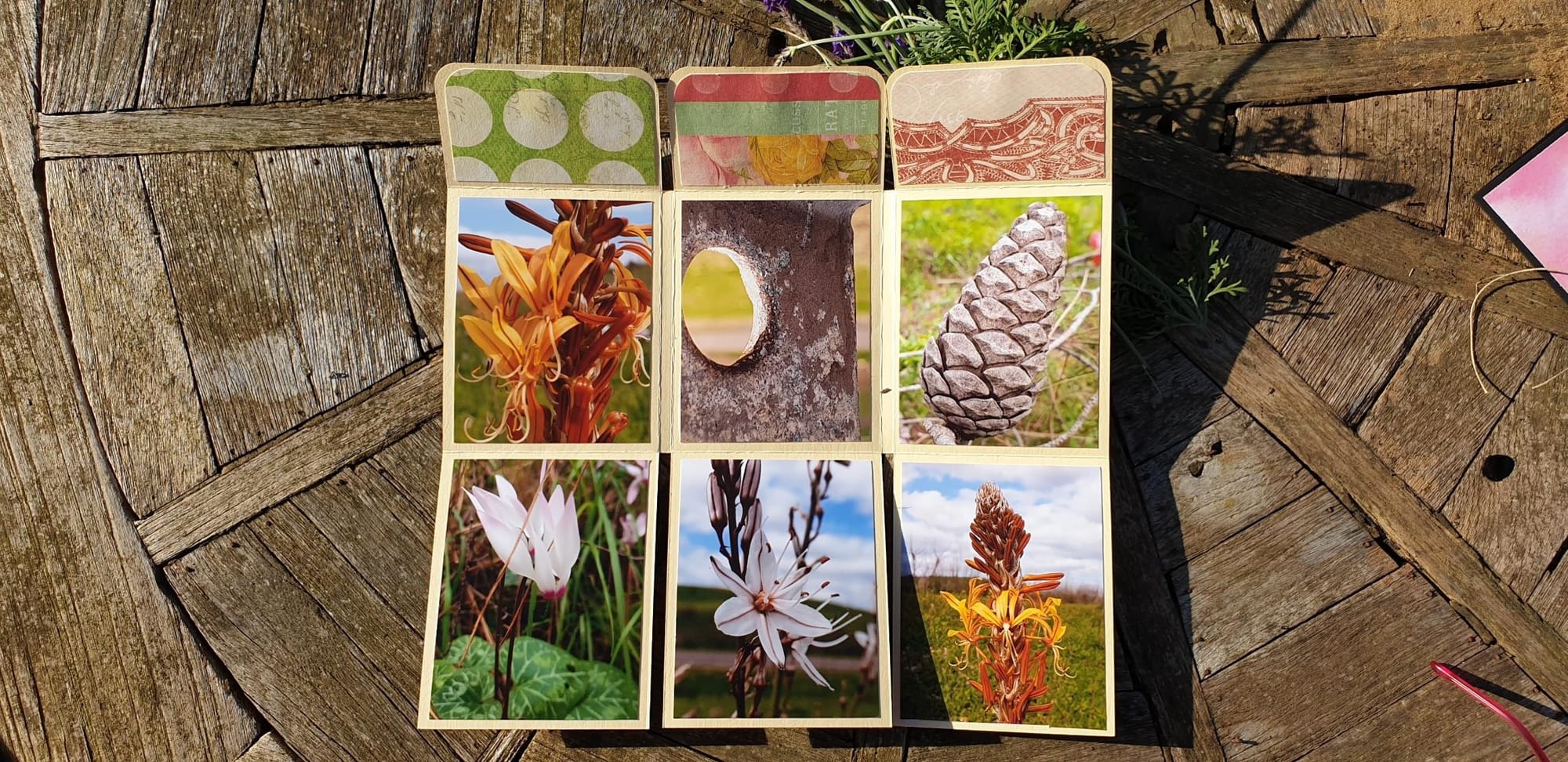 אלבום תמונות קטן לתיק