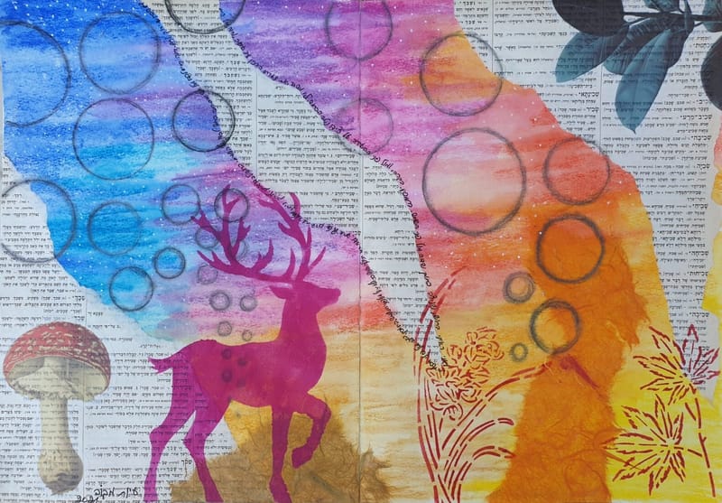 קורס מתקדמות