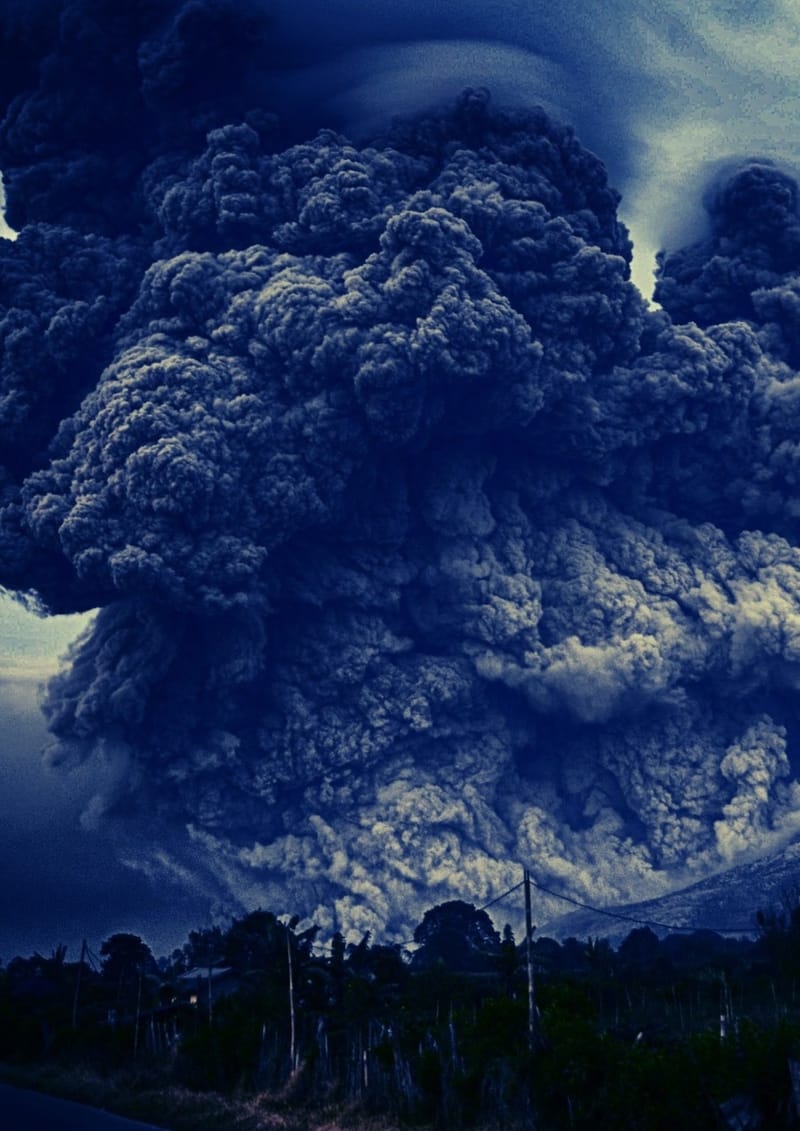 BOILING FROGS - DER WORKSHOP