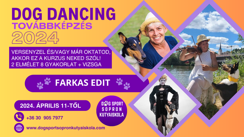 Dog Dancing Oktatói Továbbképzés