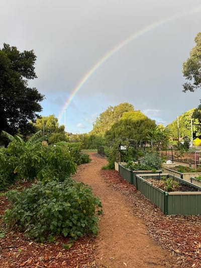 Best Garden Photos of 2022-2023