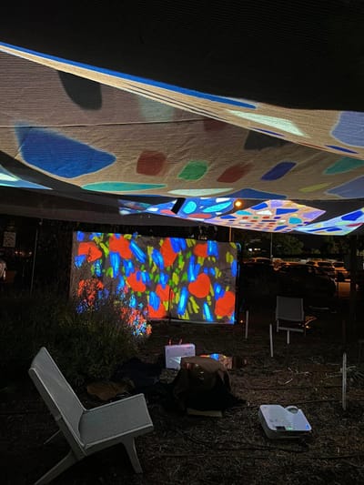 "Think Like a Worm" Project