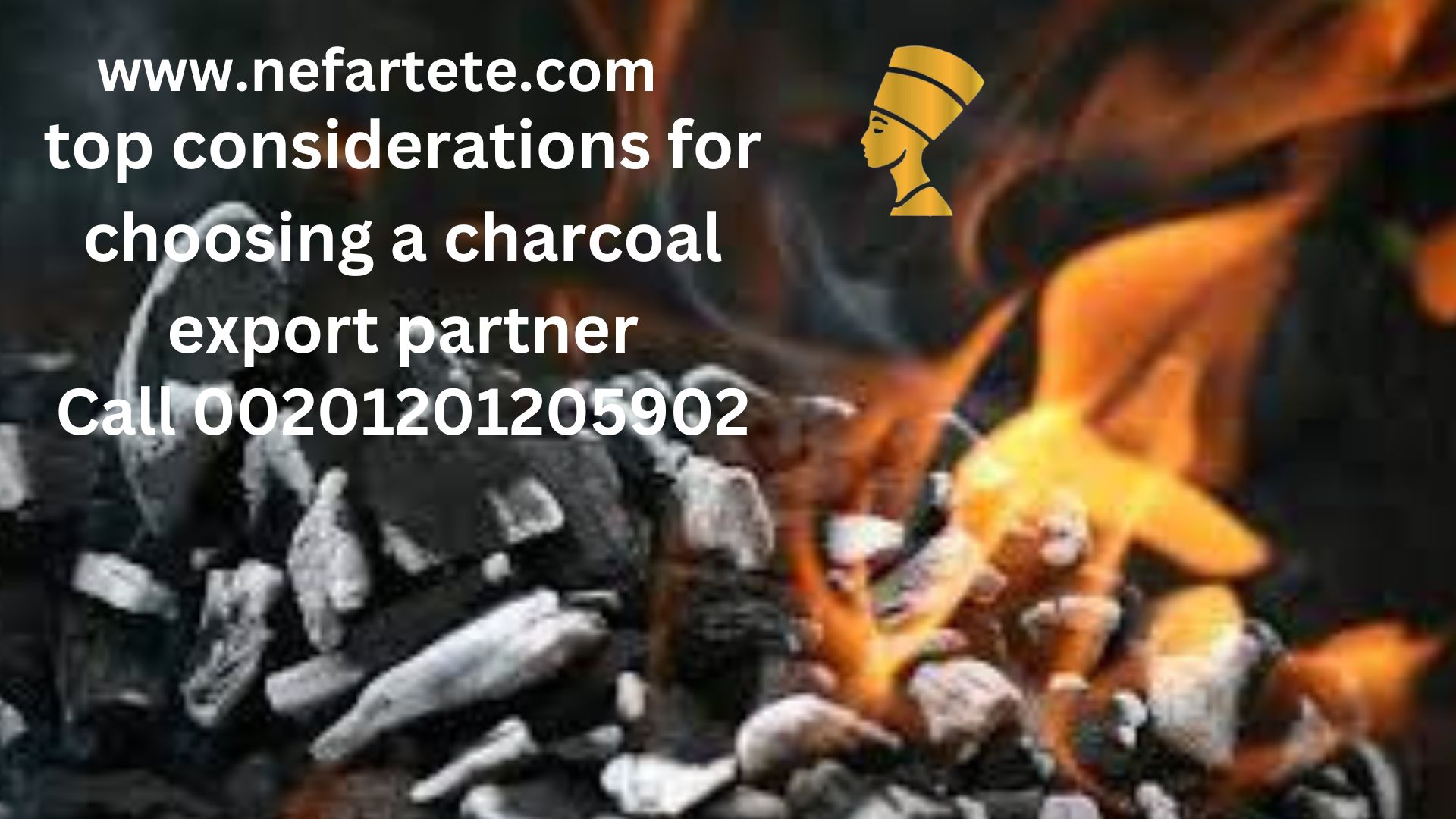 Nefartete Charcoal Exporter