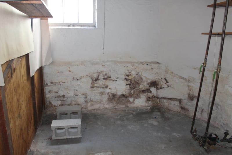 Memories and Mildew--The Back Room in the Basement