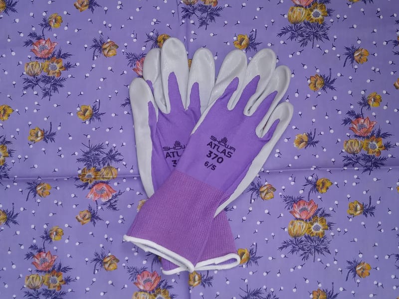 Eight Habits of the Non-Acquiring Mind