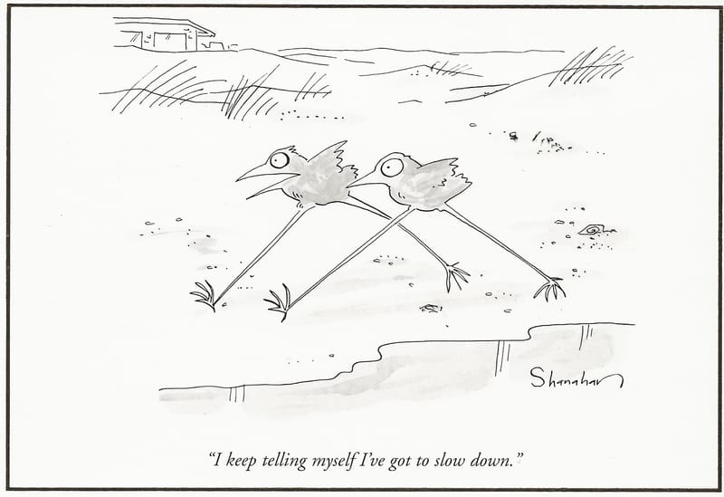 What I Accomplished in My Downsizing Sprint