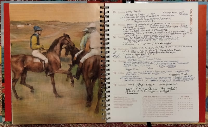 Reflections on a Big Downsizing Year, 2021