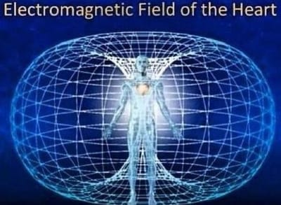 Strengthen Bio-Field/Boundaries