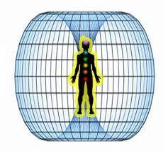 What is the Bio-Field?