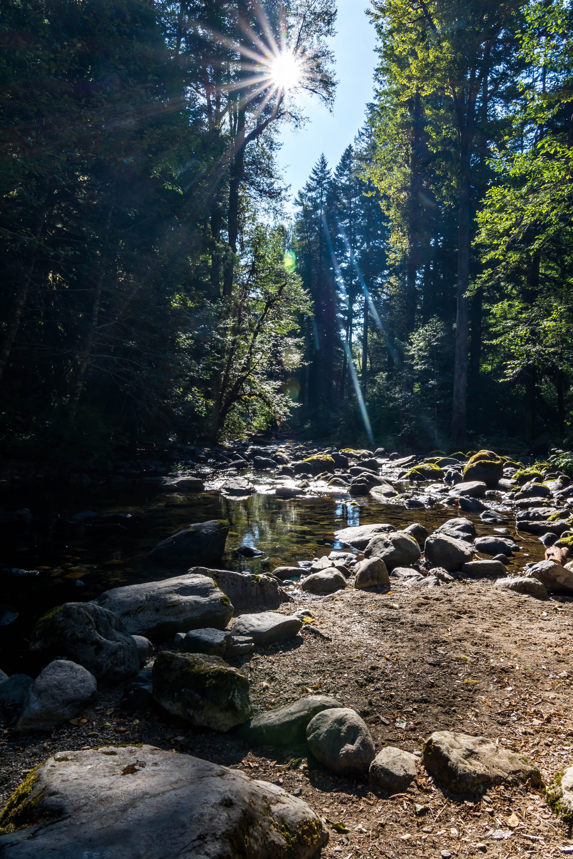 Photos of Tacoma and the surrounding area