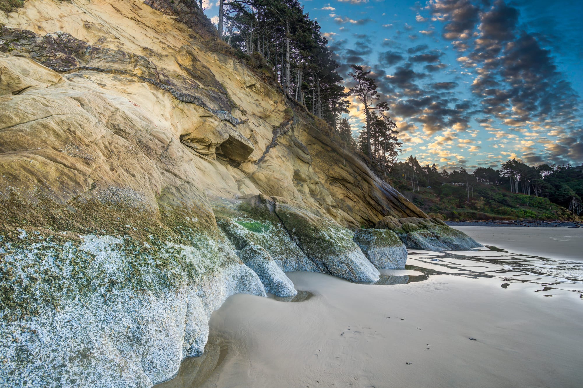 Photos of Tacoma and the surrounding area