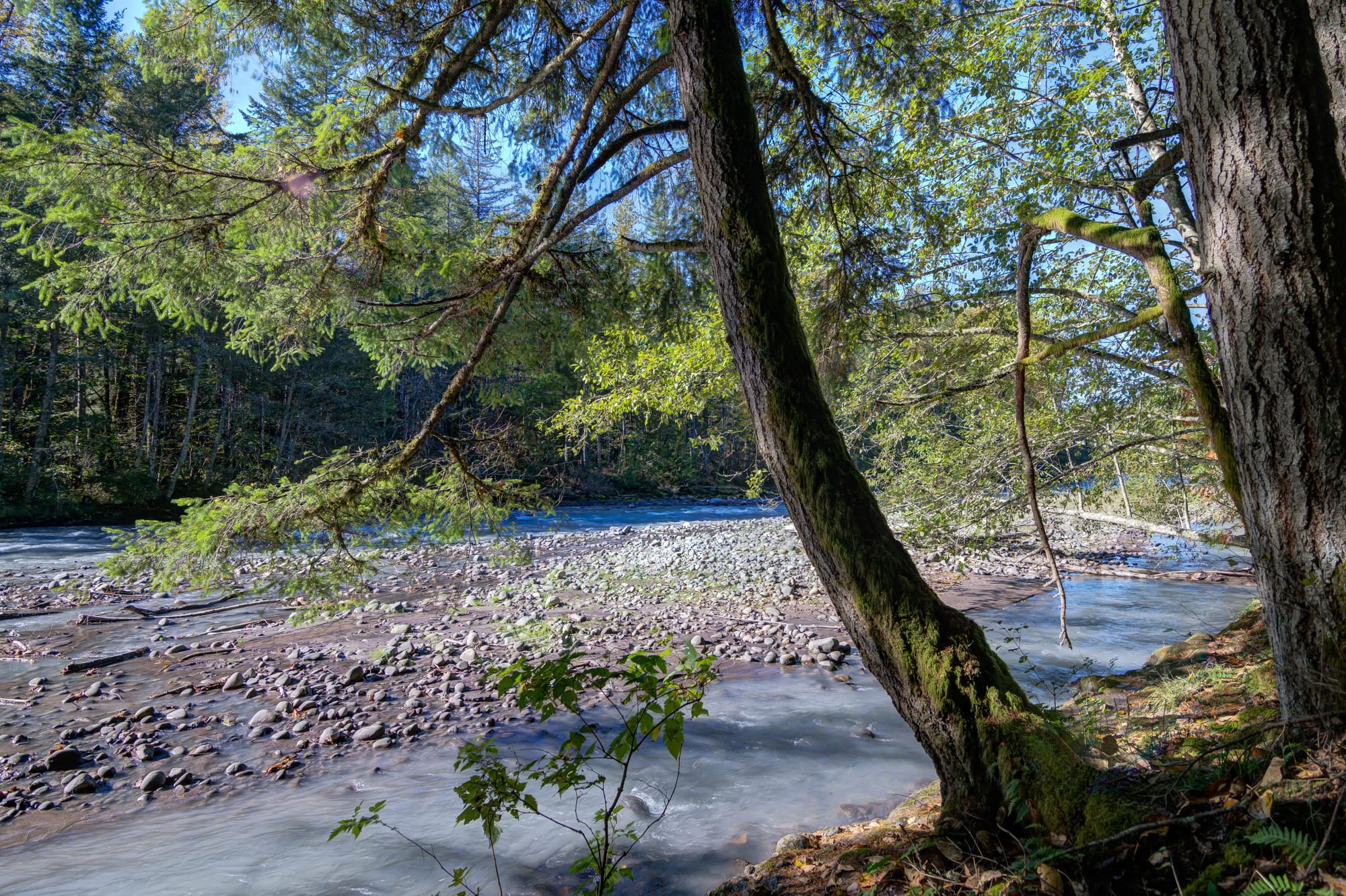 Photos of Tacoma and the surrounding area