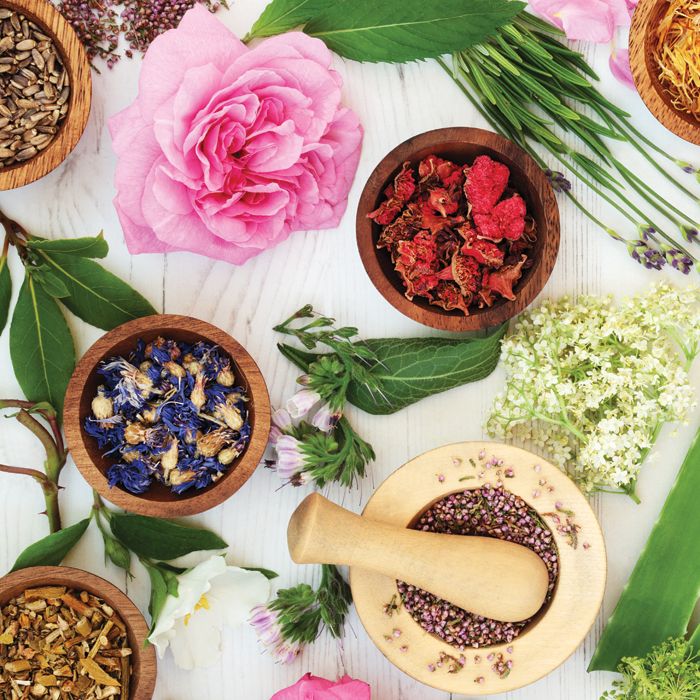 Thành phần thảo dược siêu lành tính được Dược phẩm Tín Phong  nhập khẩu từ Châu  Âu