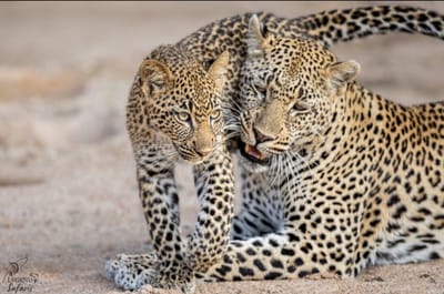 Company Profile image