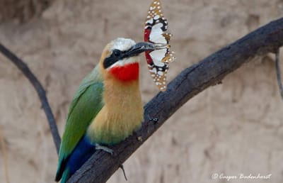 Company Profile image