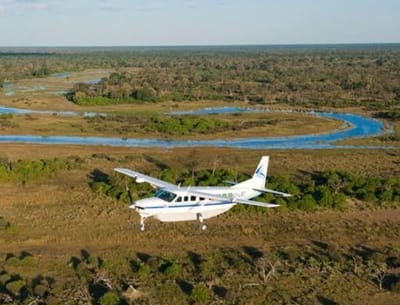 Types of safaris image