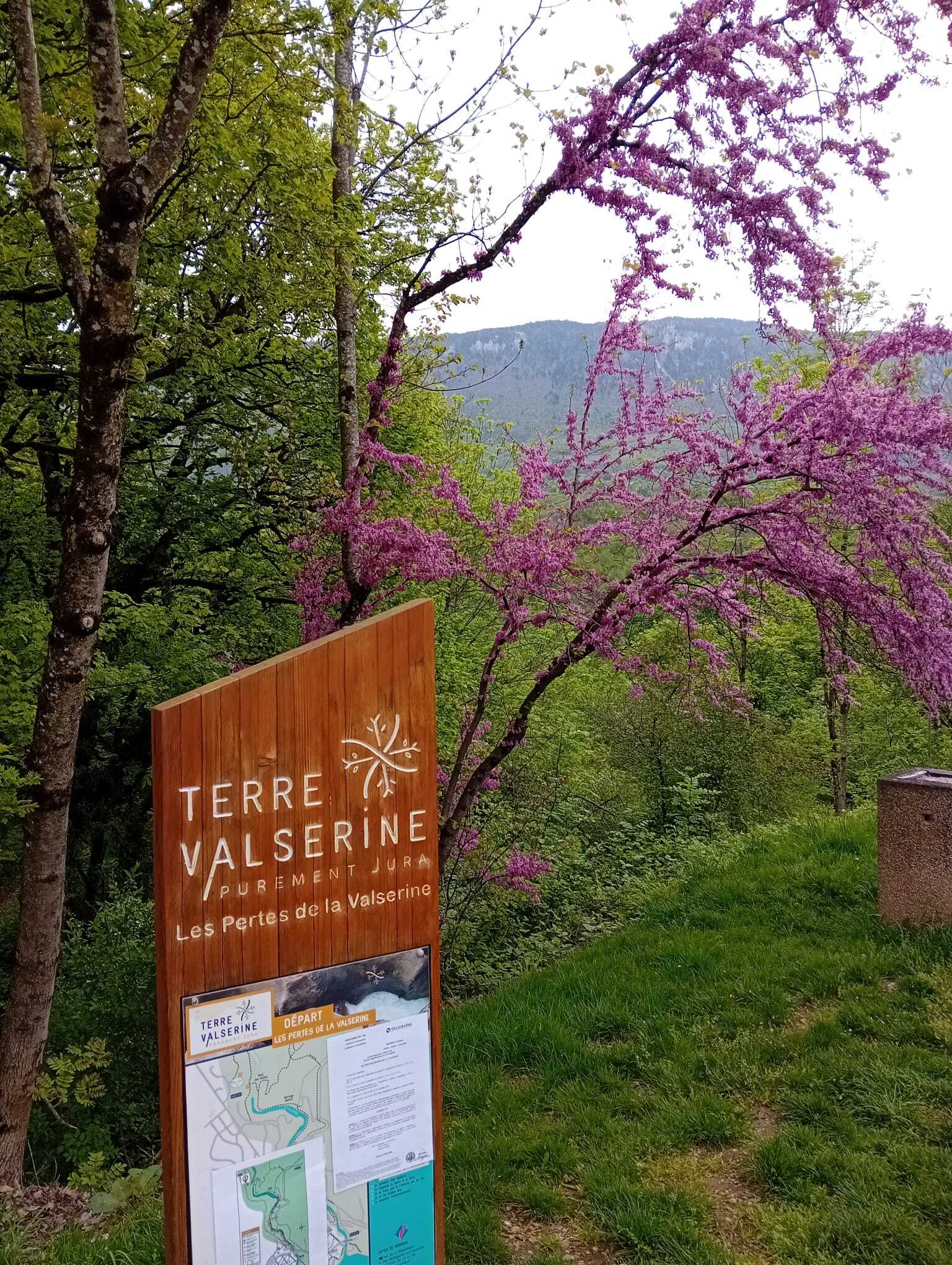 On vous emmène aux bords de la Valserine au printemps !