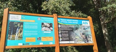 Atelier observation de la faune