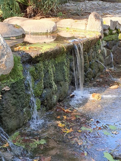 חופשה מושלמת עם ילדים באיילת השחר אירוח גלילי – אירוח כפרי למשפחות בצפון