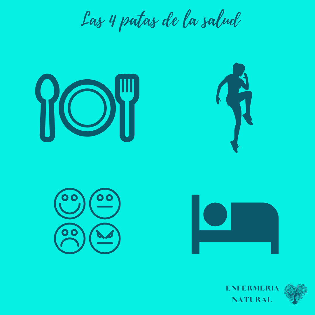 Las 4 patas de la salud