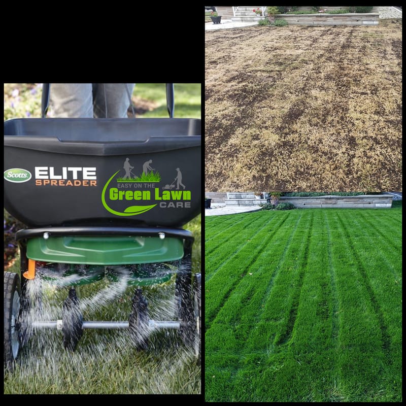 Seeding/Over-seeding