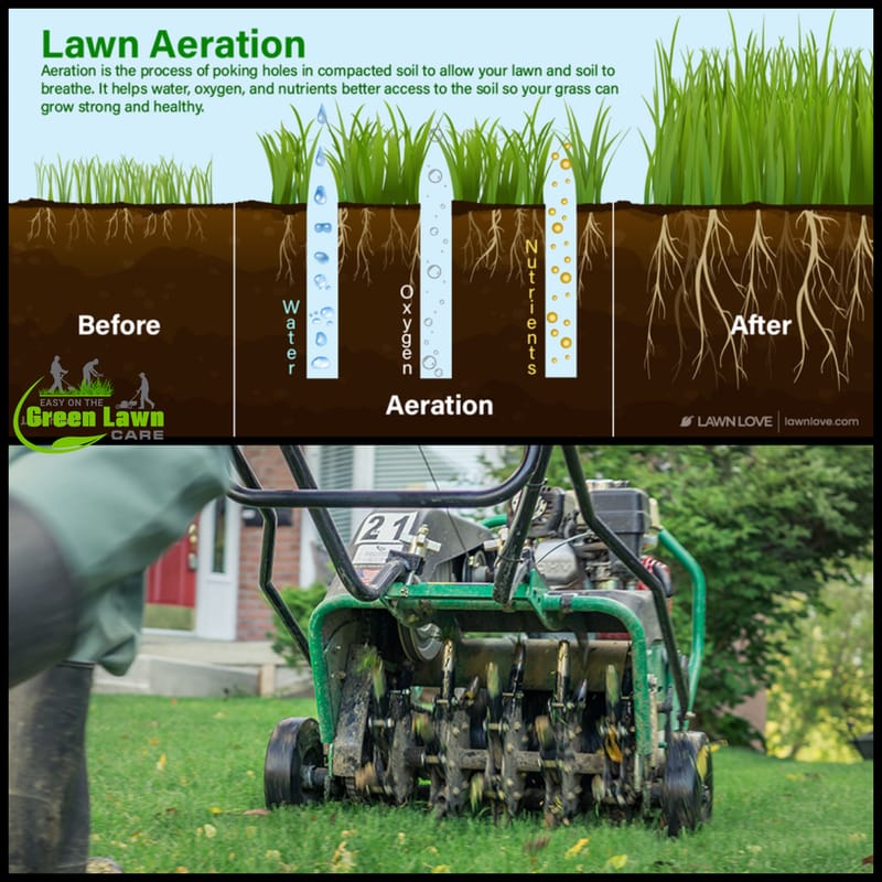 Lawn Aeration