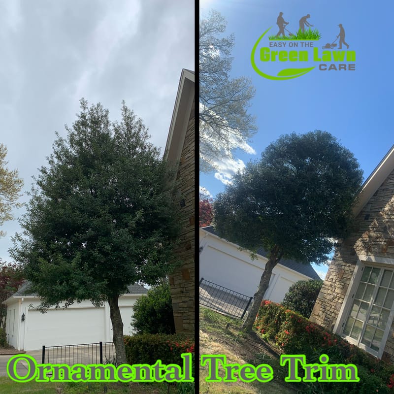 Ornamental Tree Trimming