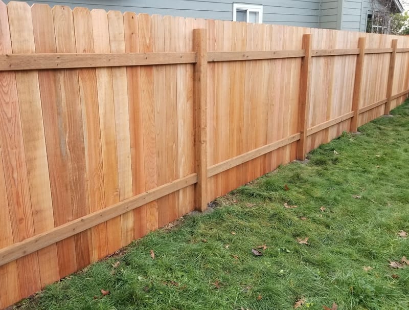 Privacy Fences